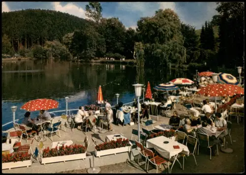 Ansichtskarte Bad Gandersheim See-Terrassen am Osterbergsee 1965