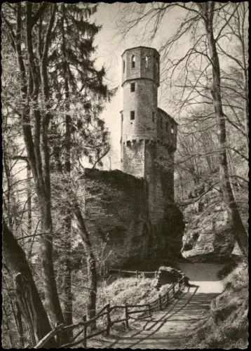 Ansichtskarte Neckarsteinach Burg Schwalbennest 1955