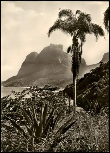 Gávea-Rio de Janeiro Blick auf die Pedra da Gávea mit Palme 1950