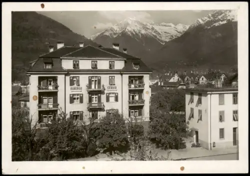 Cartolina Meran Merano Albergo Cervo mit Bergpanorama 1956