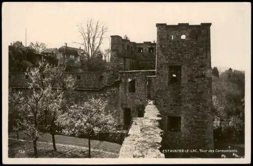 Ansichtskarte .Schweiz Schweiz ESTAVAYER-LE-LAC Tour des Cormontants 1919
