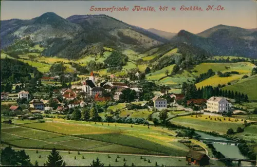 Ansichtskarte Türnitz Stadtblick 1917