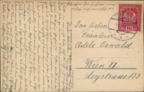 Ansichtskarte Türnitz Stadtblick 1917