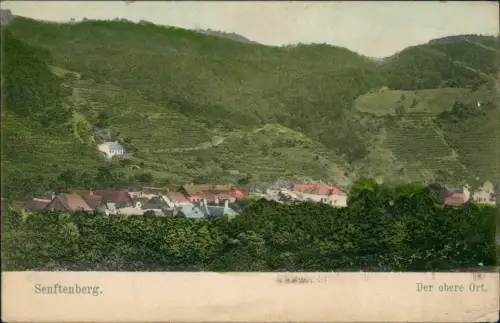 Ansichtskarte Senftenberg Blick auf die Stadt 1908