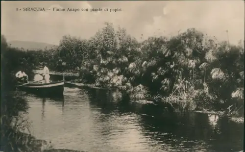 Syrakus Syracusa Siracusa   Fiume Anapo con piante di papiri. 1913  Sicilia