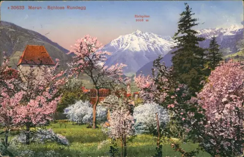Cartolina Meran Merano Schloss Rundegg Baumblüte 1913
