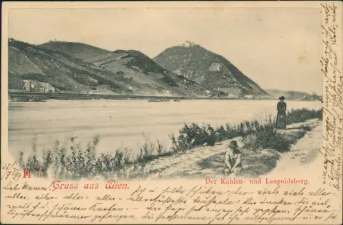 Ansichtskarte Döbling-Wien Der Kahlen- und Leopoldsberg. 1908