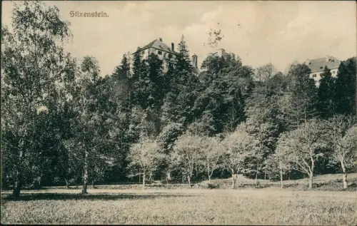 Ansichtskarte Stixenstein-Ternitz Stadtpartie 1909