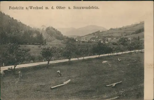 Ansichtskarte Feistritz am Wechsel Otter- u. Sonnwendstein. Kühe 1911
