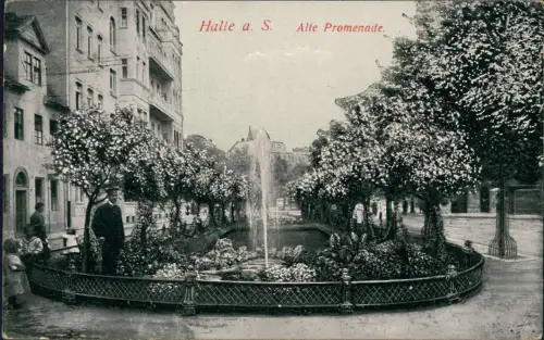 Ansichtskarte Halle (Saale) Alte Promenade - Springbrunnen Baumblüte 1916