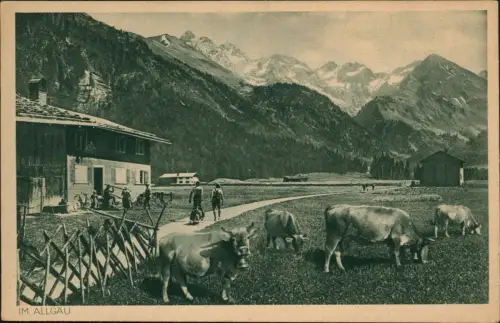 Ansichtskarte Birgsau-Oberstdorf (Allgäu) Stillachpartie Bauernhof Kühe 1928