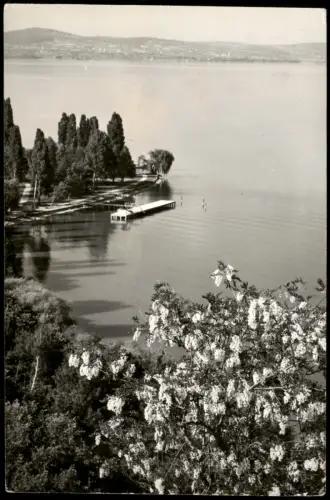 Plattensee Blick auf den Plattensee (Balaton) mit Anlegesteg 1961