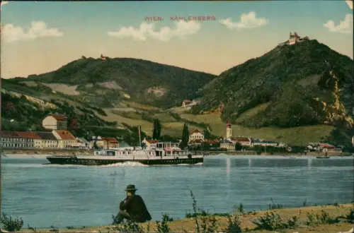 Ansichtskarte Döbling Wien Kahlenberg Panorama mit Dampfer 1912