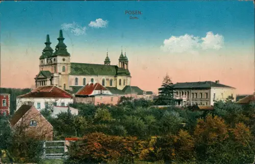 Postcard Posen Poznań Stadt und Dom 1915  gel. Feldpost von Glowno