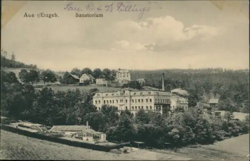Ansichtskarte Aue (Erzgebirge) Partie am Sanatorium 1919