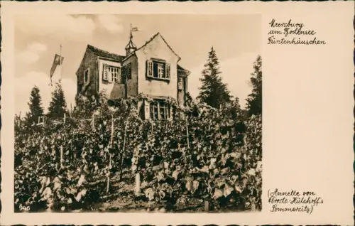 Ansichtskarte Meersburg Bodensee Fürstenhäuschen Weinreben 1932