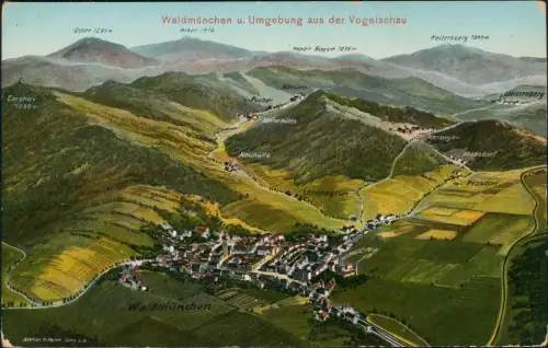 Waldmünchen Aus der Vogelschau Künstlerkarte - Eugen Felle Isny 1917