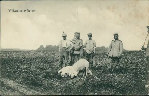 Militär Soldatenleben Willkommene Beute Schweine 1917  Stempel Feldpostbrief