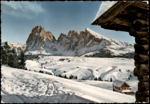 Cartolina Seiser Alm Alpe di Siusi mit Sassolungo 1955