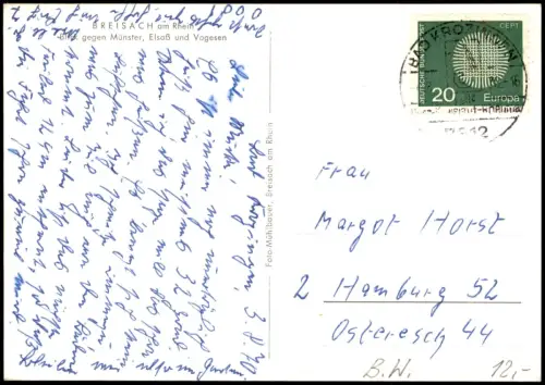 Breisach (Rhein) Blick auf Breisach am Rhein mit St. Stephansmünster 1970