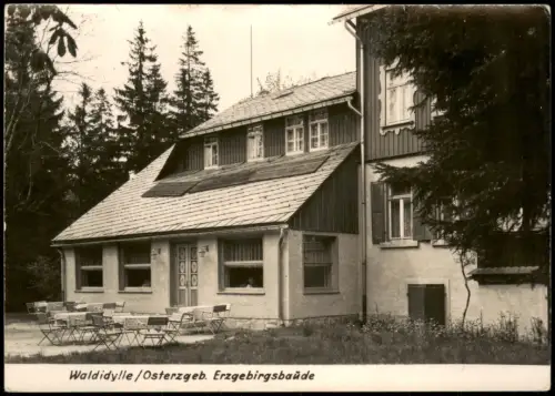 Ansichtskarte Waldidylle-Altenberg (Erzgebirge) Erzgebirgsbaude 1963