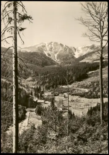 Rochlitz an der Iser Rokytnice Blick auf den Kotel (Kesselkoppe) 1956
