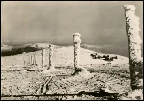 Witkowitz Riesengebierge Vítkovice v Krkonoších  Jestřábí boudy und Sněžka 1957