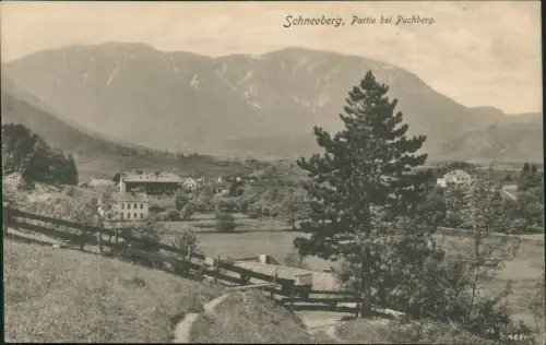 Ansichtskarte Puchberg am Schneeberg Partie an der Stadt 1912