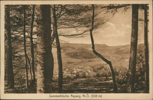Ansichtskarte Aspang Blick auf die Stadt 1919