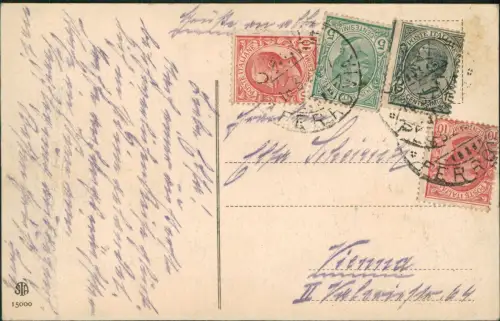 Cartolina Udine Giardino Ricasoli e Castello 1916