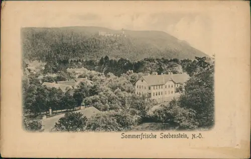 Ansichtskarte Hohe Wand Sommerfrische Seebenstein 1919 Passepartout
