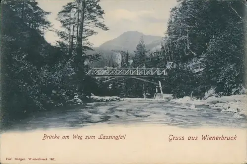 Ansichtskarte Wienerbruck Brücke am Weg zum Lassingfall 1908  Steiermark