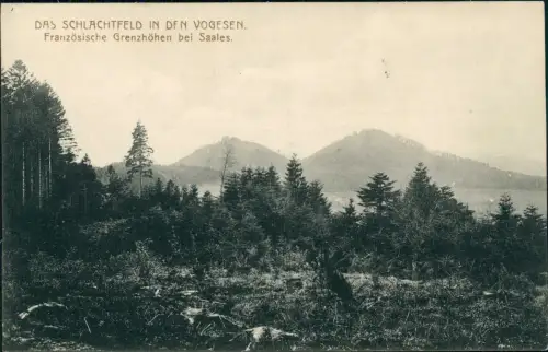 CPA Saal Saales Das Schlachtfeld Franz. Grenzhöhen 1916