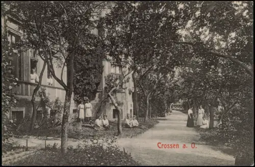 Postcard Crossen an der Oder Krosno Odrzańskie Straßenszene 1911