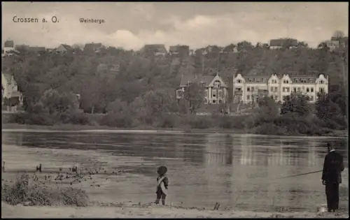 Crossen an der Oder Krosno Odrzańskie Weinberge und Angler an der Oder 1911
