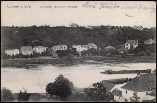 Crossen an der Oder Krosno Odrzańskie Weinberge. Blick vom Kirchturm. 1909