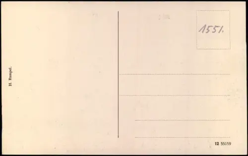 Ansichtskarte Schleusingen Burgstraße 1914