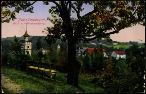 Postcard Bad Salzbrunn Szczawno-Zdrój Blick vom Birnbaumberg. 1918