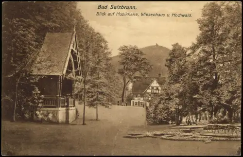 Bad Salzbrunn Szczawno-Zdrój Blick auf Musikhalle, Wiesenhaus u. Hochwald. 1913