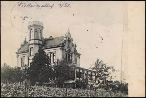 Ansichtskarte Niederwalluf-Walluf Villa Müllerthal am Rhein 1907 Privatfoto