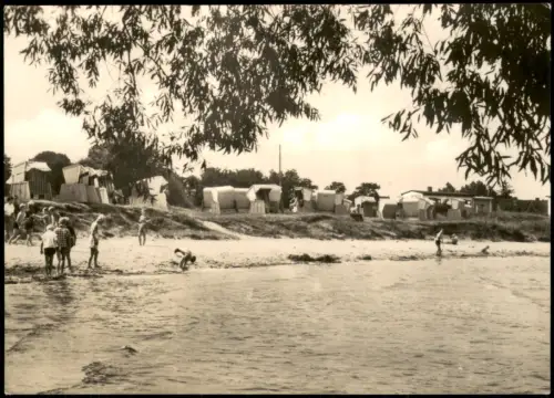 Ansichtskarte Bellin-Ueckermünde Strand von Ueckermünde-Bellin 1972