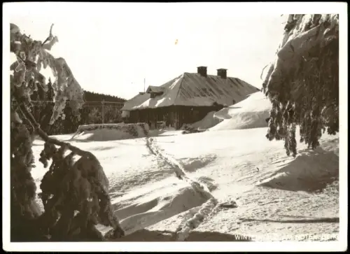 Ansichtskarte Roter Berg-Erfurt Winterwald am Roten Berg 1965