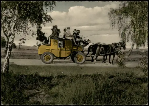 Undeloh Alte Postkutsche im Naturschutzpark Lüneburger Heide 1970