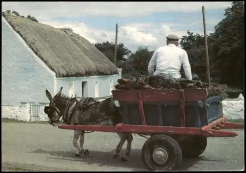 Postcard .Irland Bringing home the turf - Eselkarren mit Torf 1985