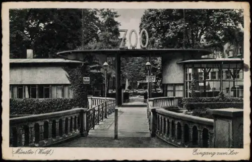 Ansichtskarte Münster (Westfalen) Eingang zum Zoo 1939