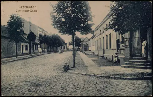 Ansichtskarte Liebenwalde Zehdenicker-Straße 1925