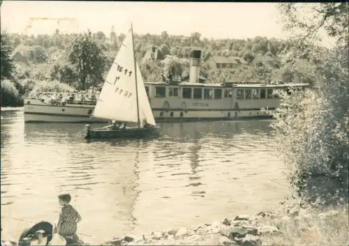 Ansichtskarte Potsdam Weiße Flotte Potsdam Dampfer Segelboot Fotokarte 1966