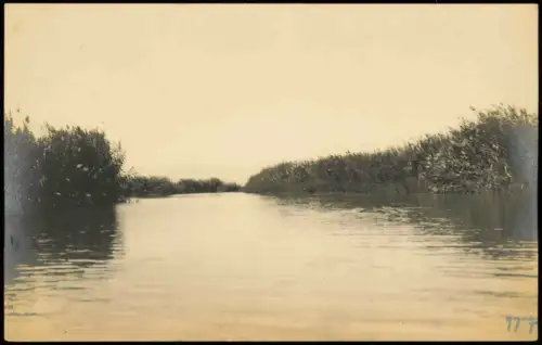 Foto Israel Der Jordan mit Ufergras 1913 Privatfoto