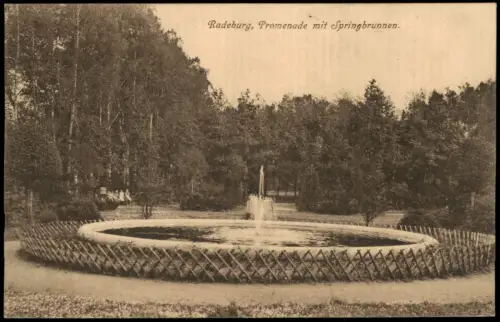 Ansichtskarte Radeburg Promenade mit Springbrunnen. 1912