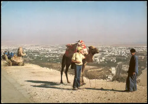 Postcard Agadir Panoramablick auf die Bucht von Agadir mit Kamelen 1991